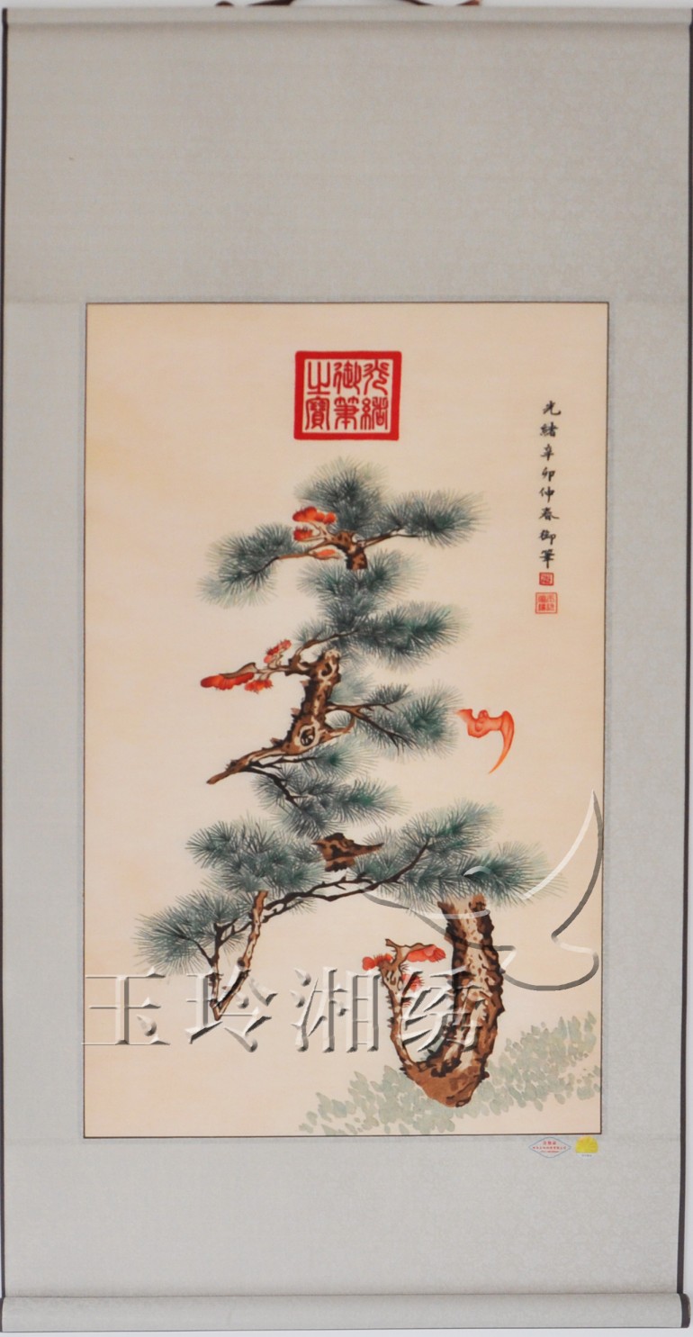 长寿松